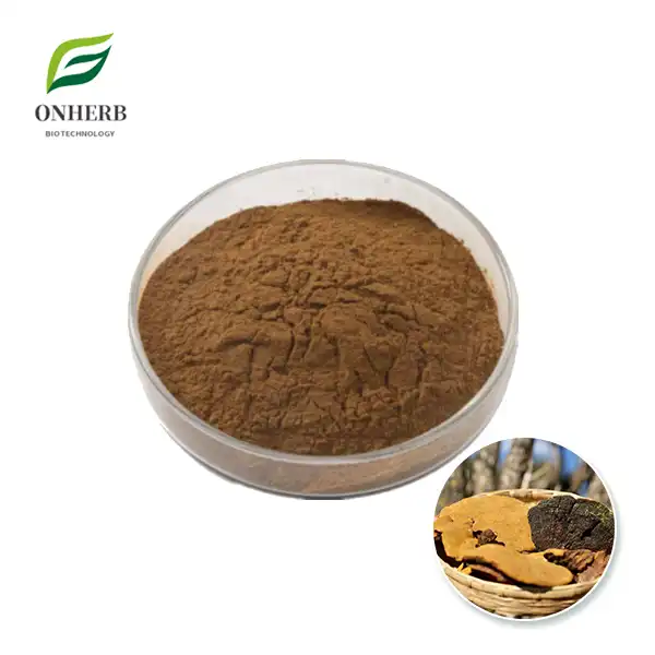 Phellinus Igniarius Extract